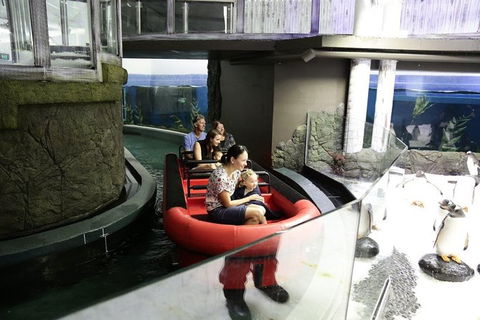 Sydney Attractions Pass: SEA LIFE Aquarium, Sydney Tower Eye, WILD LIFE Zoo And Madame Tussauds - Accommodation Brunswick Heads 6