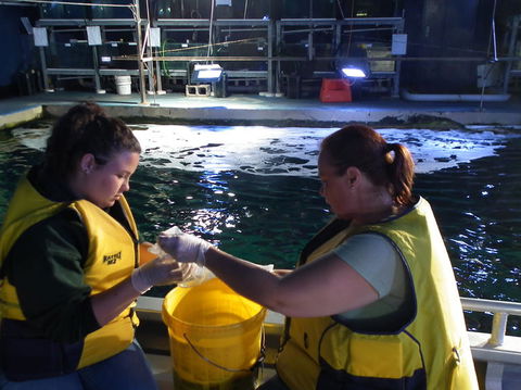SEA LIFE Sydney Aquarium Entrance Ticket - Accommodation Brunswick Heads 14