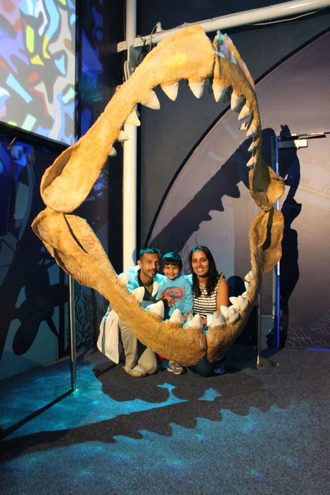 SEA LIFE Sydney Aquarium Entrance Ticket - Accommodation Brunswick Heads 6