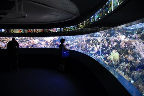 SEA LIFE Sydney Aquarium Entrance Ticket - Accommodation Brunswick Heads 23