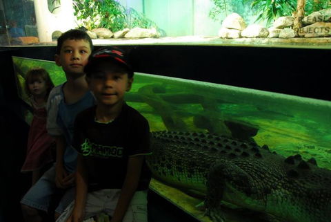 SEA LIFE Sydney Aquarium Entrance Ticket - Accommodation Brunswick Heads 22