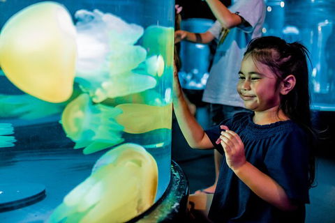 SEA LIFE Sydney Aquarium Entrance Ticket - Accommodation Brunswick Heads 26