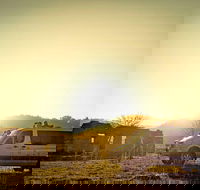 Wild Australian Wildlife 4WD Tour from Sydney - Accommodation Brunswick Heads