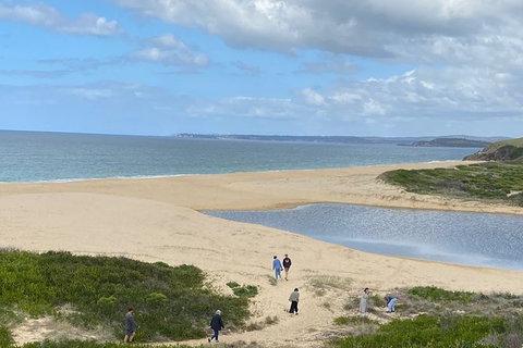 The Eurobodalla Experience (Full Day Private Tour Including Lunch) - Accommodation Brunswick Heads 19