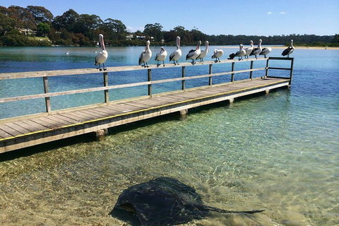 The Eurobodalla Experience (Full Day Private Tour Including Lunch) - Accommodation Brunswick Heads 2