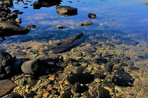 The Eurobodalla Experience (Full Day Private Tour Including Lunch) - Accommodation Brunswick Heads 14