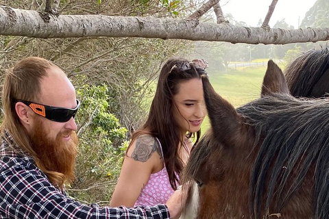 The Eurobodalla Experience (Full Day Private Tour Including Lunch) - Accommodation Brunswick Heads 23