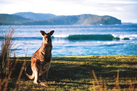 The Eurobodalla Experience (Full Day Private Tour Including Lunch) - Accommodation Brunswick Heads 7