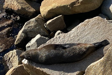 The Eurobodalla Experience (Full Day Private Tour Including Lunch) - Accommodation Brunswick Heads 8