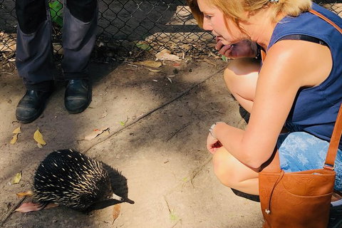 The Eurobodalla Experience (Full Day Private Tour Including Lunch) - Accommodation Brunswick Heads 18