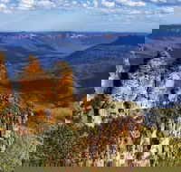 Blue Mountains Day Tour Including Three Sisters Scenic World and Wildlife Park - Accommodation Brunswick Heads