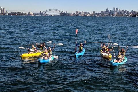 Sydney Harbour Sea Kayak Tour - Accommodation Brunswick Heads 1