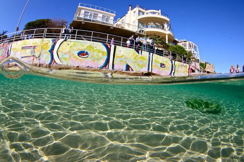 Bondi Like A Local: Half-Day Sightseeing Tour Including Surf Lesson - Accommodation Brunswick Heads 5