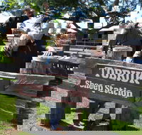 Private Tobruk Sheep Station Day Tour from Sydney Including BBQ Lunch - Accommodation Brunswick Heads