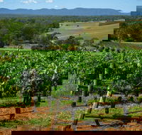 Small Group All Inclusive Hunter Valley Wine Tasting Tour from Sydney - Accommodation Brunswick Heads