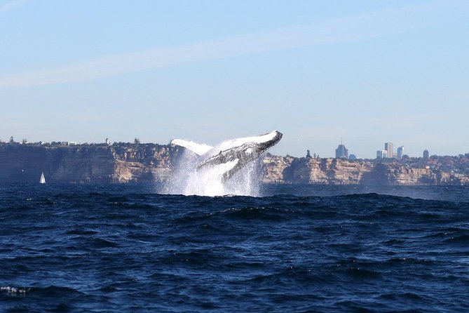 Sydney NSW Accommodation Brunswick Heads