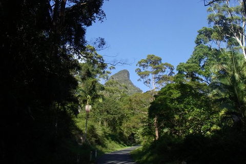 Mount Warning Day Trip From Byron Bay Including BBQ Lunch - Accommodation Brunswick Heads 6