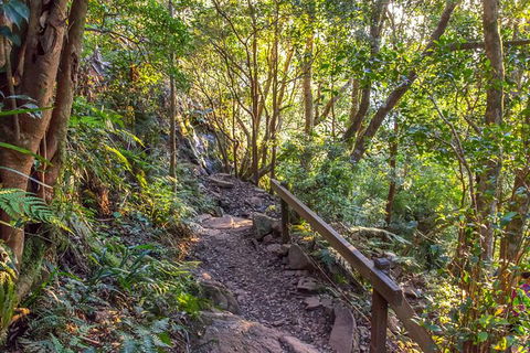 Mount Warning Day Trip From Byron Bay Including BBQ Lunch - Accommodation Brunswick Heads 9