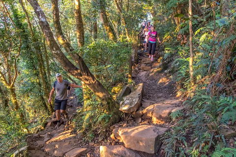 Mount Warning Day Trip From Byron Bay Including BBQ Lunch - Accommodation Brunswick Heads 11