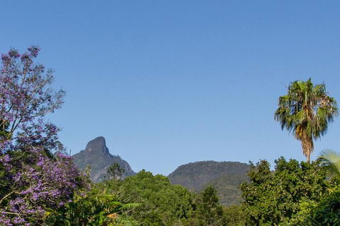 Mount Warning Day Trip From Byron Bay Including BBQ Lunch - Accommodation Brunswick Heads 3