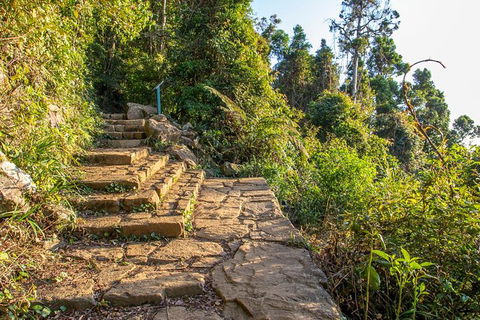 Mount Warning Day Trip From Byron Bay Including BBQ Lunch - Accommodation Brunswick Heads 10