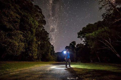Byron Bay Surfing Lesson And Mount Warning Sunrise Climb Including Overnight Camping And BBQ Dinner - Accommodation Brunswick Heads 0