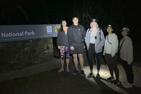 Byron Bay Surfing Lesson And Mount Warning Sunrise Climb Including Overnight Camping And BBQ Dinner - Accommodation Brunswick Heads 13