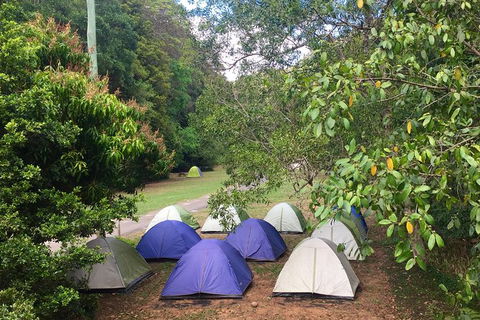 Byron Bay Surfing Lesson And Mount Warning Sunrise Climb Including Overnight Camping And BBQ Dinner - Accommodation Brunswick Heads 18