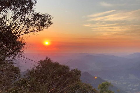 Byron Bay Surfing Lesson And Mount Warning Sunrise Climb Including Overnight Camping And BBQ Dinner - Accommodation Brunswick Heads 10