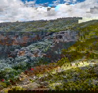 Stray Australia Blue Mountains - Day Tour - Accommodation Brunswick Heads