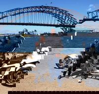 Sydney Scenic Trike or Harley Davidson Tour - Accommodation Brunswick Heads