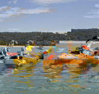 Beginner's Kayak Tour in Sydney - Gorgeous Aussie Beaches and Bays - Accommodation Brunswick Heads