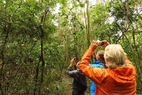 Byron Bay Wildlife Safari - Accommodation Brunswick Heads 12