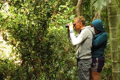 Byron Bay Wildlife Safari - Accommodation Brunswick Heads 10