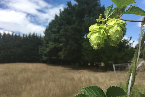 Southern Highlands Craft Beer Brewery Tour From Sydney - Accommodation Brunswick Heads 1