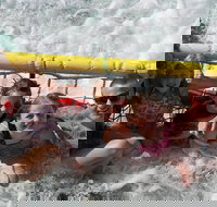 Jervis Bay Boom Netting and Dolphins Tour - Accommodation Brunswick Heads