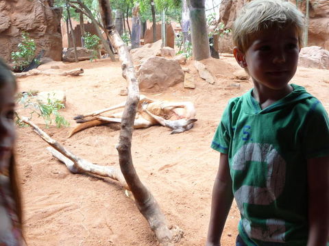 WILD LIFE Sydney Entrance Ticket - Accommodation Brunswick Heads 10