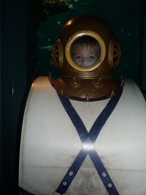 WILD LIFE Sydney Entrance Ticket - Accommodation Brunswick Heads 3