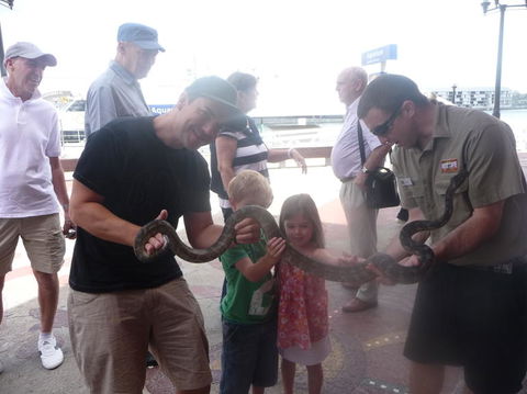 WILD LIFE Sydney Entrance Ticket - Accommodation Brunswick Heads 11