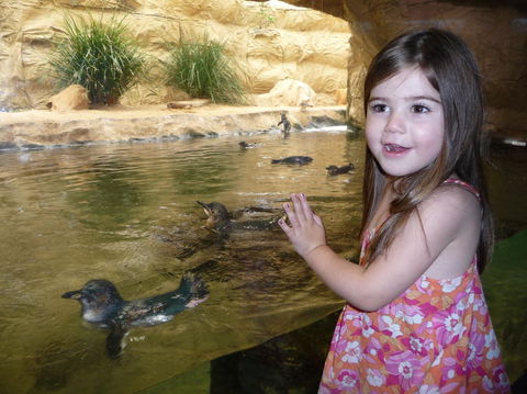 WILD LIFE Sydney Entrance Ticket - Accommodation Brunswick Heads 2