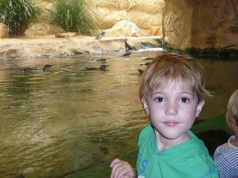 WILD LIFE Sydney Entrance Ticket - Accommodation Brunswick Heads 5