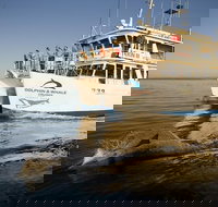 Jervis Bay Dolphin Watch Cruise - Accommodation Brunswick Heads