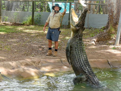 Billabong Sanctuary - Accommodation Brunswick Heads 1