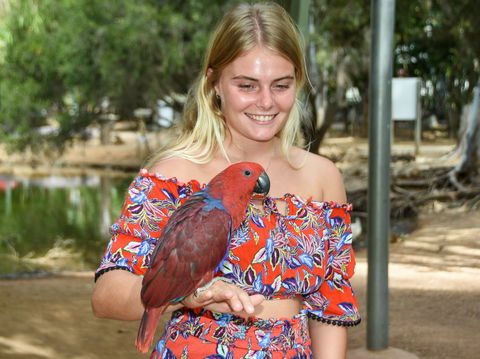 Billabong Sanctuary - Accommodation Brunswick Heads 2