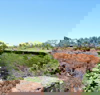 Bladensburg National Park - Accommodation Brunswick Heads