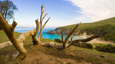 Blowhole Beach - Accommodation Brunswick Heads 0