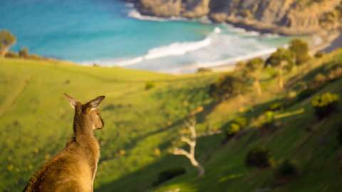 Blowhole Beach - Accommodation Brunswick Heads 1