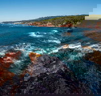 Boyds Tower to Saltwater Creek Walking Track - Accommodation Brunswick Heads