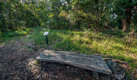 Browns Forest Loop Trail - Accommodation Brunswick Heads 0