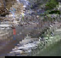 Butterfly Gorge Nature Park - Accommodation Brunswick Heads